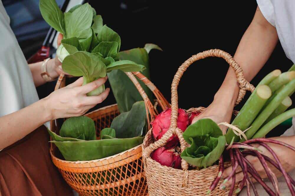 Hands holding bok choy in baskets