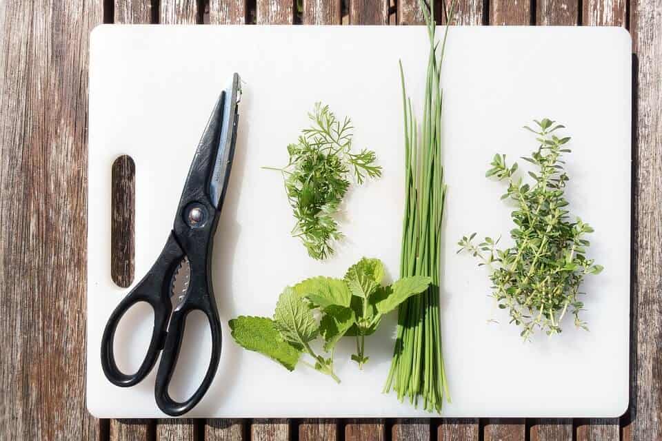 Knife on a cutting board with fresh herbs