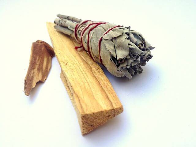 White sage with a wood log