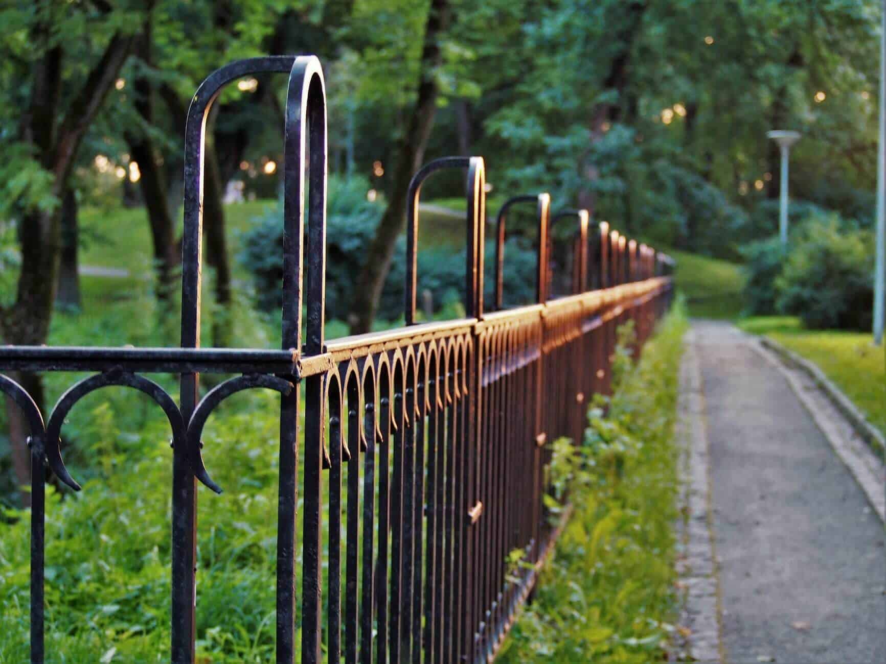 Metal gate in a park surrounded by trees