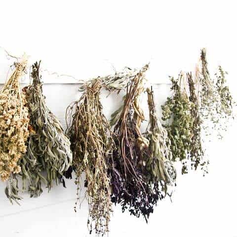 Dried thyme herbs