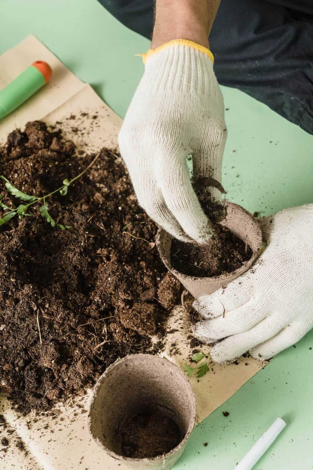 Hang with white glove transplanting seedlings in soil
