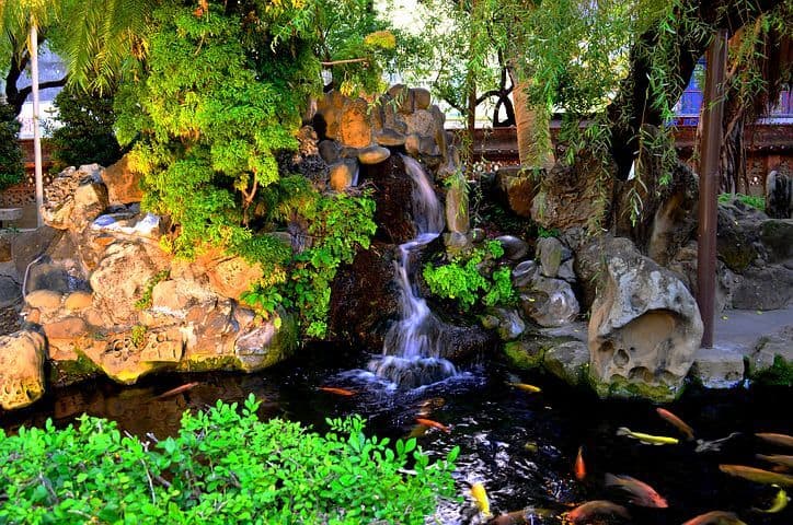 Koi ponds waterfalls in a backyard