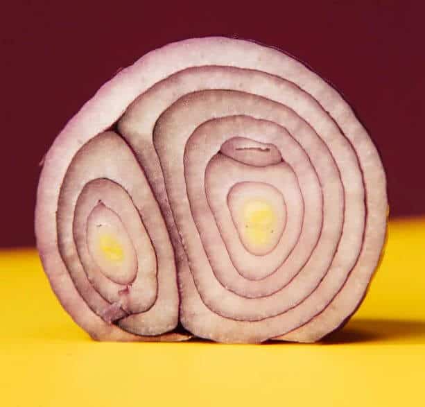 Cut up red onion