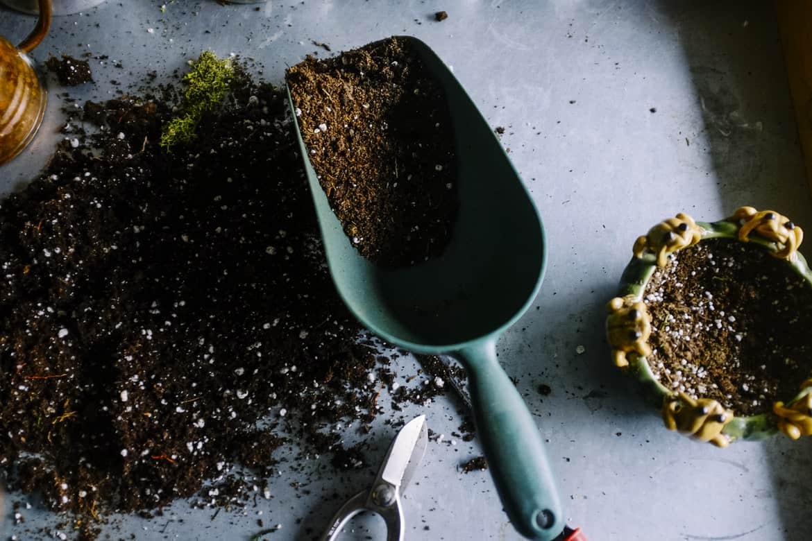 Gardening soil in a shovel