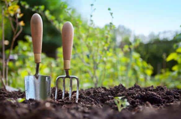 Gardening tools in a garden