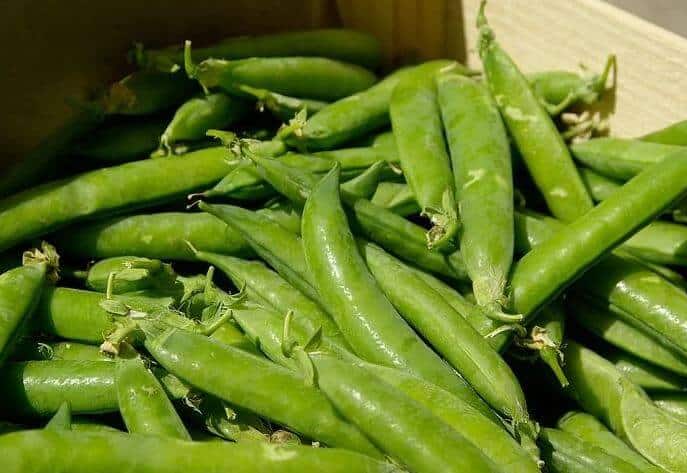 Large green peas