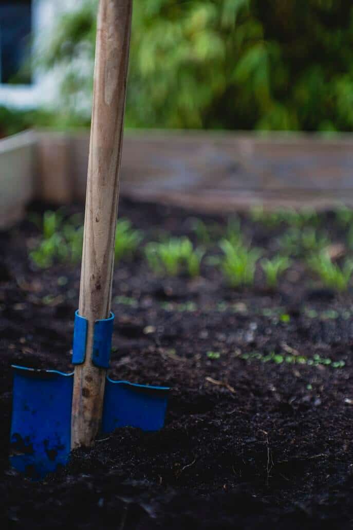 Blue shovel in a garden
