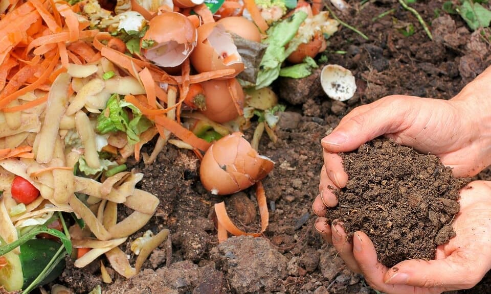 Compost ecology waste garden