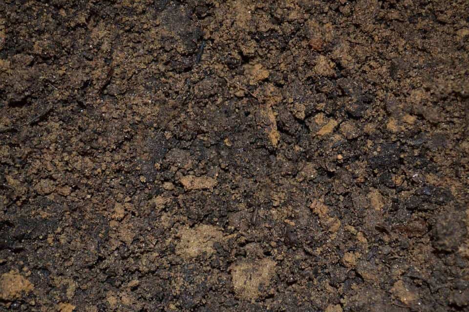 Dirt soil potting mix