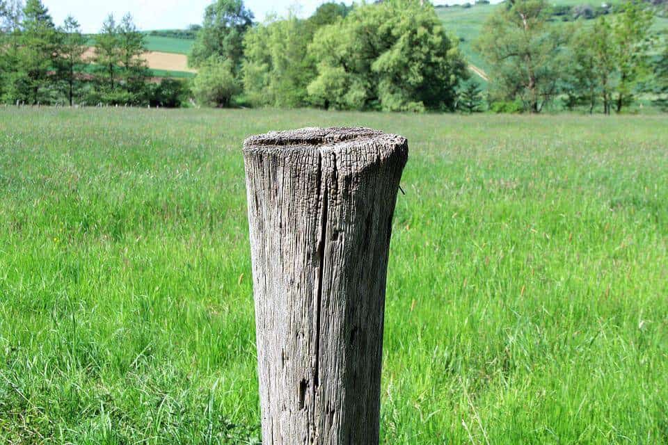 Stake wooden pole wood post