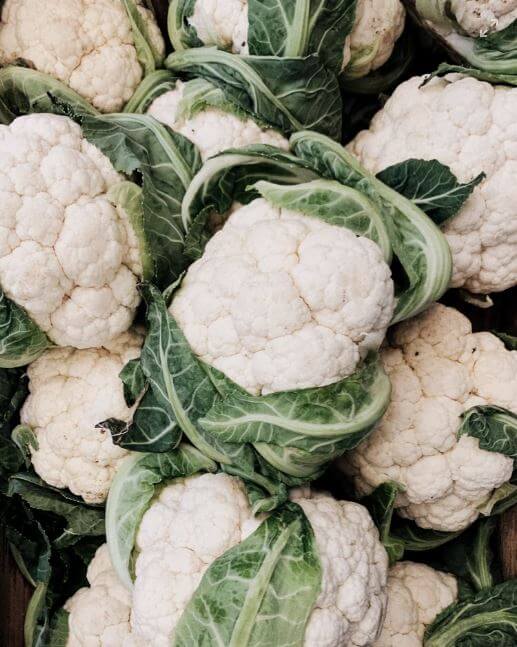 Cauliflower with leaves growing